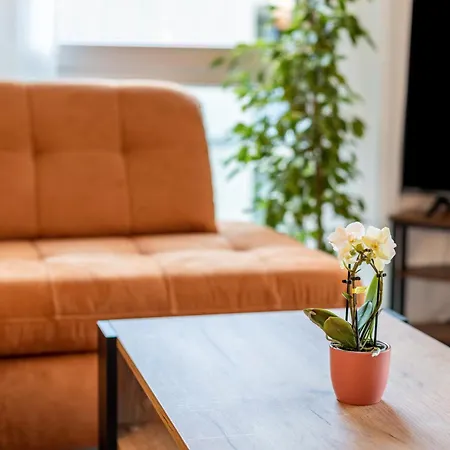 Felsenkeller Apartment