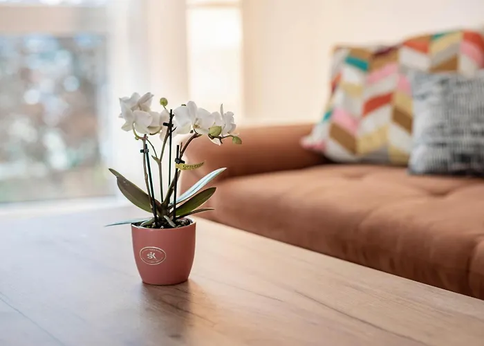 アパート Felsenkeller *